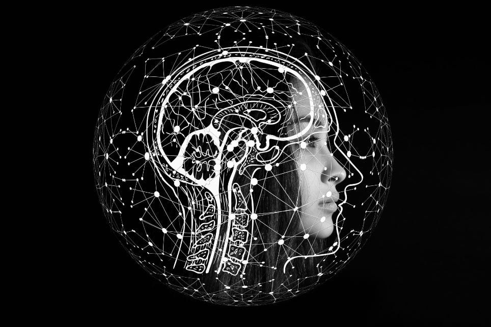 cocreate with universe